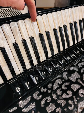 Nový akordeón Beltunica Proffesionall- IV- 96 basový