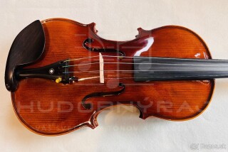 redám husle, 4/4 husle: "Braun Bird T012", model Stradivari