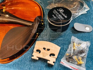 redám husle, 4/4 husle: "Braun Bird T012", model Stradivari