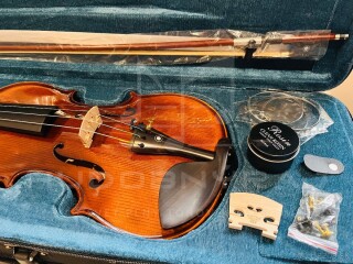 redám husle, 4/4 husle: "Braun Bird T012", model Stradivari
