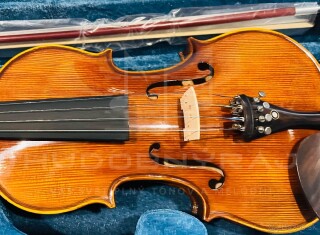 Husle, 4/4 husle: "Braun Diamond- T024 ,model Stradivari