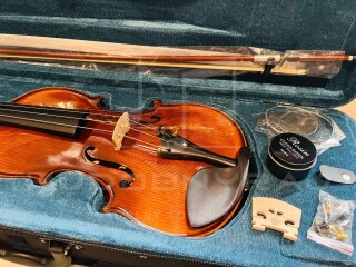 redám husle, 4/4 husle: "Braun Bird T012", model Stradivari